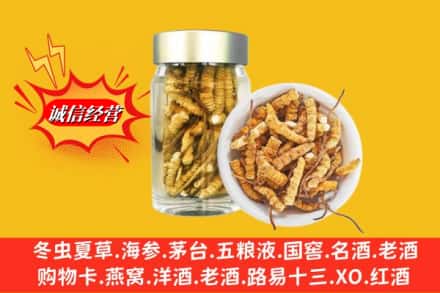 桃江县回收散虫草