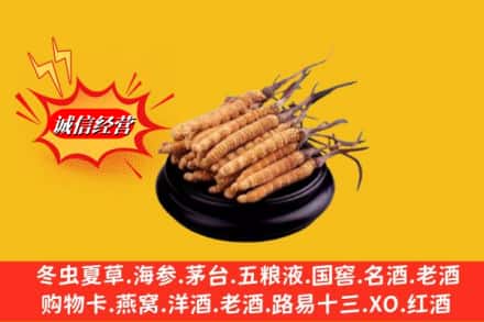桃江县求购回收虫草多少钱每克
